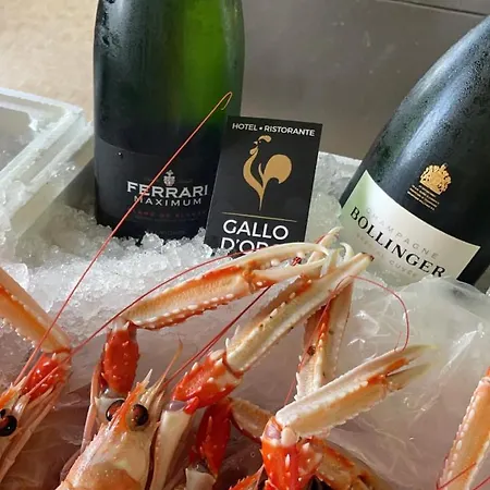 Ristorante Gallo D'oro Vignola (Emilia-Romagna)