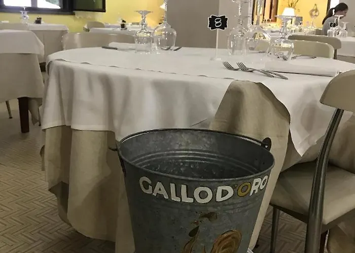 Szálloda Ristorante Gallo D'oro 3*