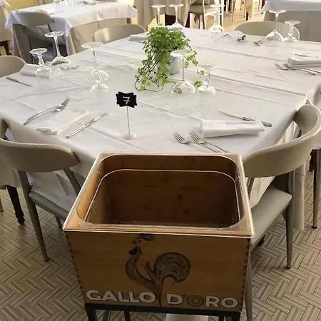 Hotel Ristorante Gallo D'oro