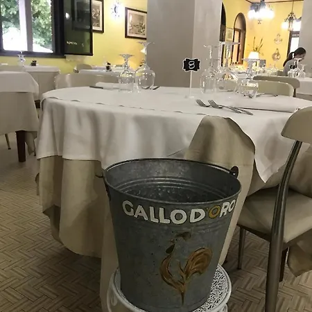 ホテル Ristorante Gallo D'oro 3*