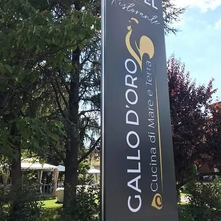 Ristorante Gallo D'oro ヴィニョーラ