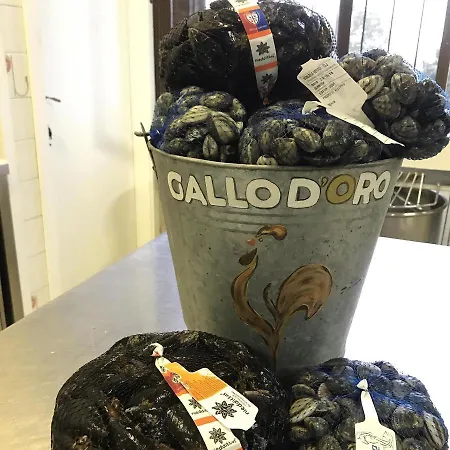 Ristorante Gallo D'oro